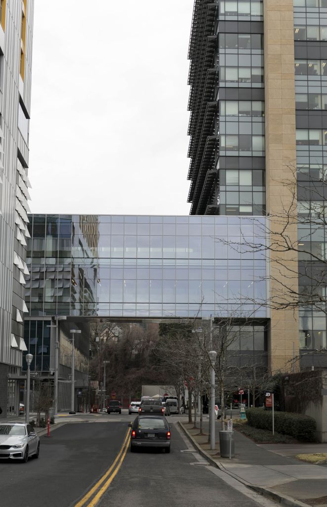 CHH2 skybridge