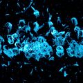 Discovery could lead to new treatments for Parkinson’s, other brain diseases