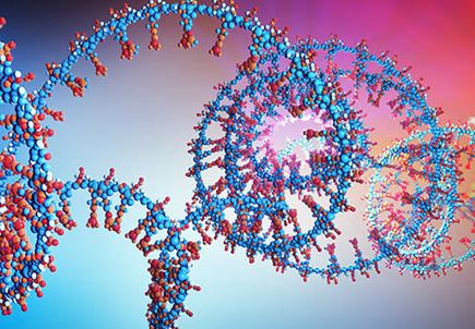 3d illustration of a  part of RNA chain from which the deoxyribonucleic acid or DNA is composed