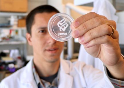 Engineered bone tissue