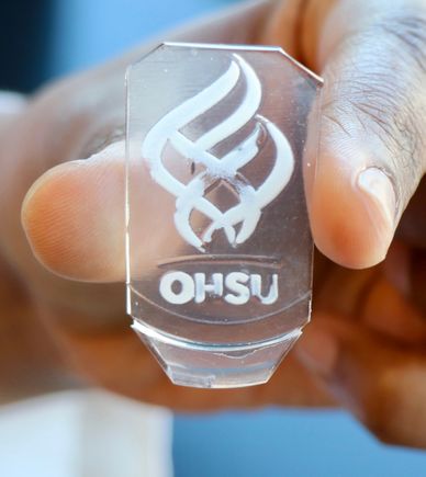 Engineered bone tissue