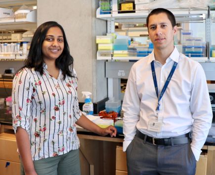 Athirasala and Bertassoni