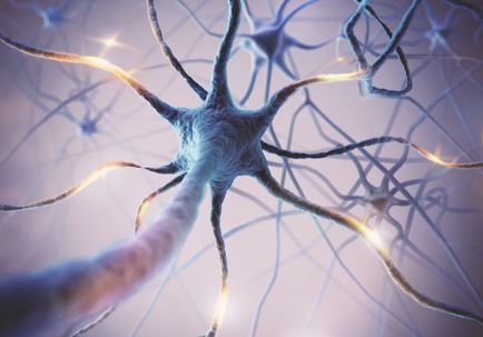 Microscopic of neural network brain cells