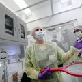 Mosquito facility opens to aid search for malaria drugs