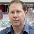 Vaccine candidate prevents diarrhea, improves growth in animal model