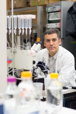 Steven Mansoor, M.D., Ph.D.