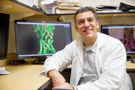 Steven Mansoor, M.D., Ph.D.