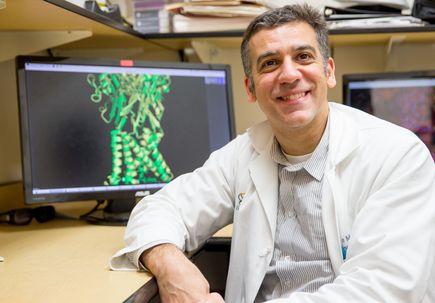 Steven Mansoor, M.D., Ph.D.