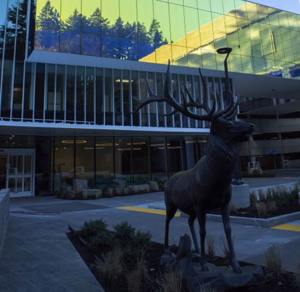 Elks Children's Eye Clinic