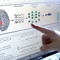 New research will model hearing