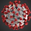Pediatric resident fears for at-risk, providers who care for them during outbreak