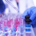 Nike leaders donate $7 million to support OHSU’s COVID-19 response