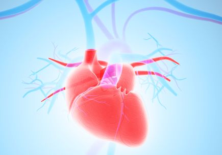 3D heart illustration