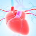 Healing a broken heart: The emotional toll of living with a congenital heart defect