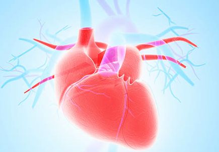 Healing a broken heart: The emotional toll of living with a congenital heart defect