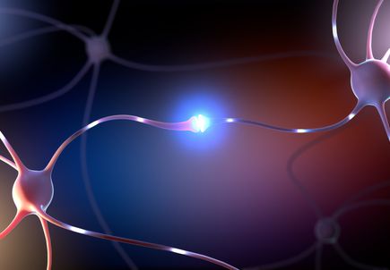 OHSU Doernbecher patient first human to receive trial therapy for rare, devastating form of epilepsy