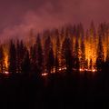 OHSU response to Oregon wildfires