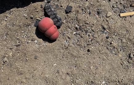 Phoenix, Oregon wildfire