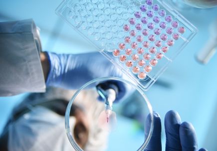 Circle of Giving 2020