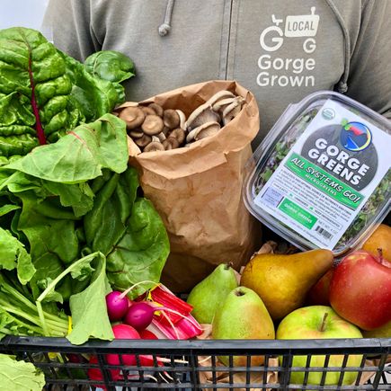 Community Partnership Program