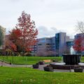 Dec. 2 forecast: COVID-19 hospitalizations continue to decline in Oregon