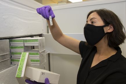 Caren Weinhouse, Ph.D.