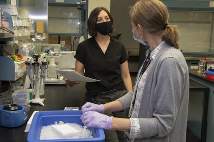 Caren Weinhouse, Ph.D.