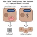 Gene therapy uses pain reliever to combat genetic diseases