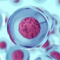 Innovation massively expands view into workings of single cells