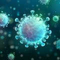 Study links vaccine immune response to age