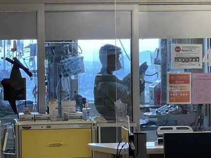 COVID-19 forecast Nov. 24, 2021