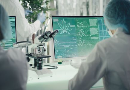 Chronic marijuana use negatively impacts male reproductive health