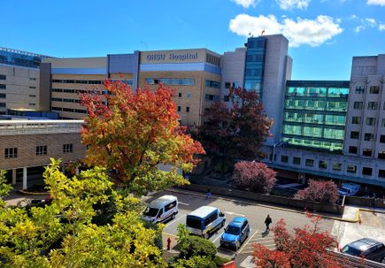 OHSU 2024 accomplishments: The year in review
