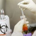 OHSU investigators awarded $3 million for innovative, promising research