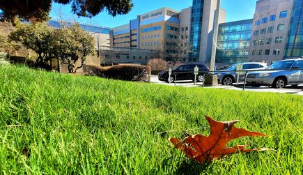 OHSU COVID-19 forecast Feb. 24, 2022 