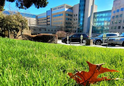 OHSU COVID-19 forecast Feb. 24, 2022 