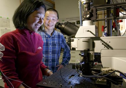 OHSU scientists identify molecule that could help treat Parkinson’s