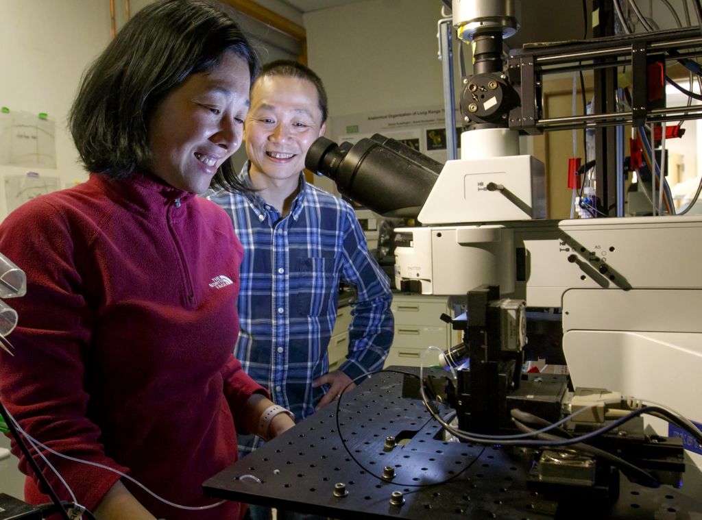 OHSU scientists identify molecule that could help treat Parkinson’s