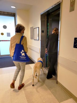 2021_1015_New DCH Dog - Casey 7