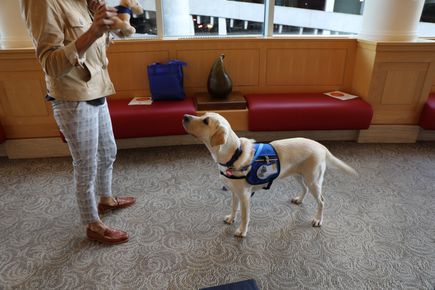 2021_1015_New DCH Dog - Casey 12