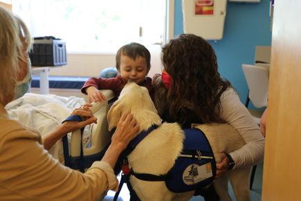 2021_1015_New DCH Dog - Casey 20