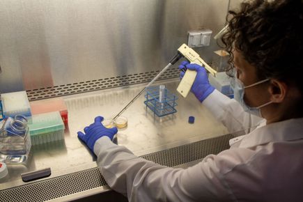 20220804 Mitalipov lab 37