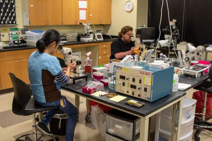 20220804 Mitalipov lab 35