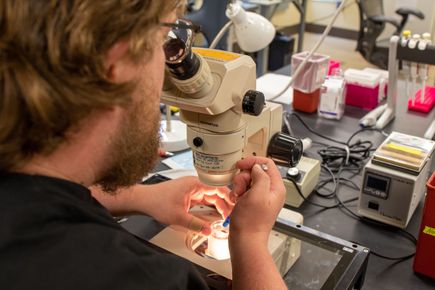 20220804 Mitalipov lab 32