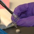 OHSU Knight Cancer Institute tapped for participation in a national consortium to accelerate cancer drug discovery