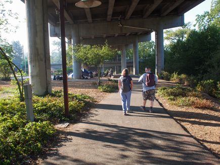 Street nursing program 4