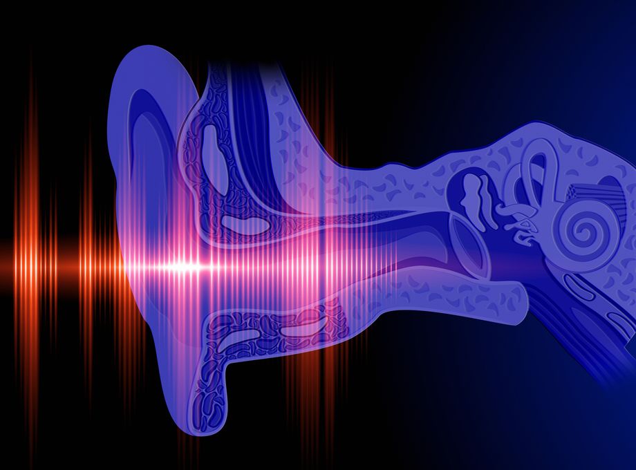 Oregon Hearing Research study could improve cochlear implants