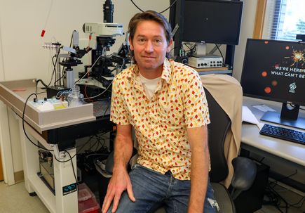 Discovery gives insight into brain function, breakdowns