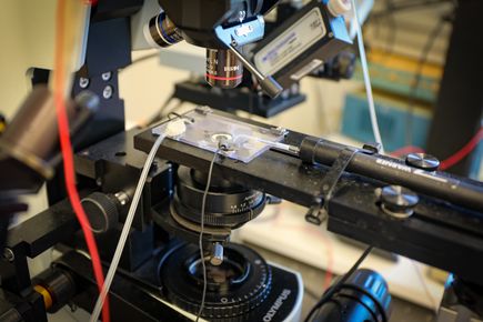 Neurotransmitter discovery