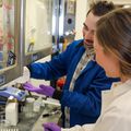 OHSU researchers identify promising next-generation cancer treatment